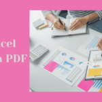 MS Excel Formula PDF